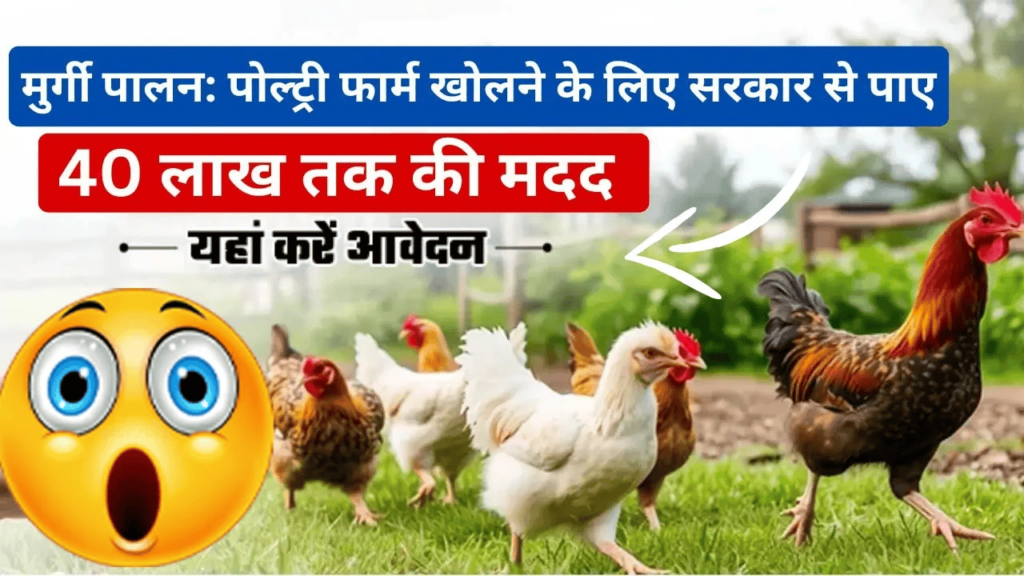 Poultry-Farm-Loan-Yojana